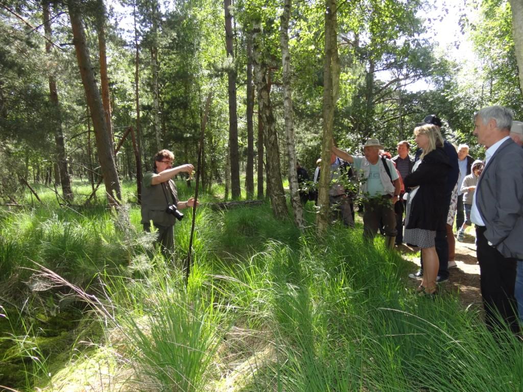 15 jhriges Bestehen des Schulungs- und Informationszentrums Wald und Moor im Naturschutzgebiet Ribnitzer Groes Moor in Ribnitz-Damgarten, Ortsteil Neuheide in Mecklenburg-Vorpommern mit Festakt, einer Kremserfahrt und Jubilumswanderung. Foto: Eckart Kreitlow