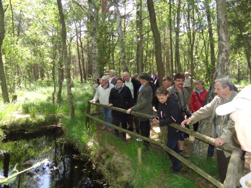 15 jhriges Bestehen des Schulungs- und Informationszentrums Wald und Moor im Naturschutzgebiet Ribnitzer Groes Moor in Ribnitz-Damgarten, Ortsteil Neuheide in Mecklenburg-Vorpommern mit Festakt, einer Kremserfahrt und Jubilumswanderung. Foto: Eckart Kreitlow