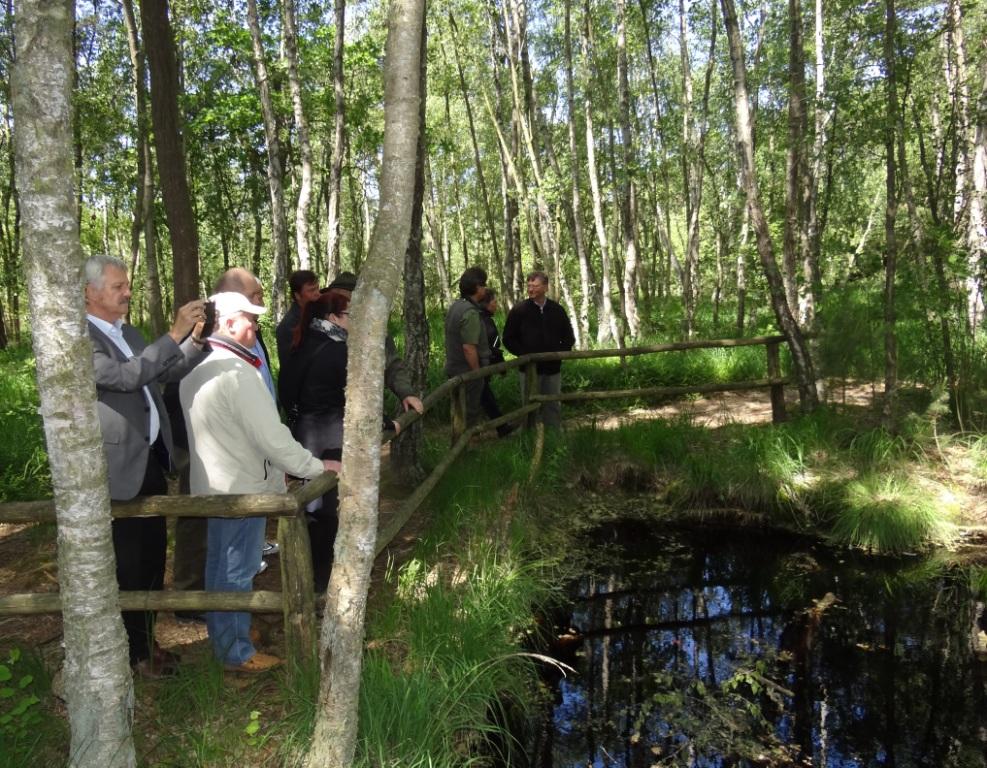 15 jhriges Bestehen des Schulungs- und Informationszentrums Wald und Moor im Naturschutzgebiet Ribnitzer Groes Moor in Ribnitz-Damgarten, Ortsteil Neuheide in Mecklenburg-Vorpommern mit Festakt, einer Kremserfahrt und Jubilumswanderung. Foto: Eckart Kreitlow