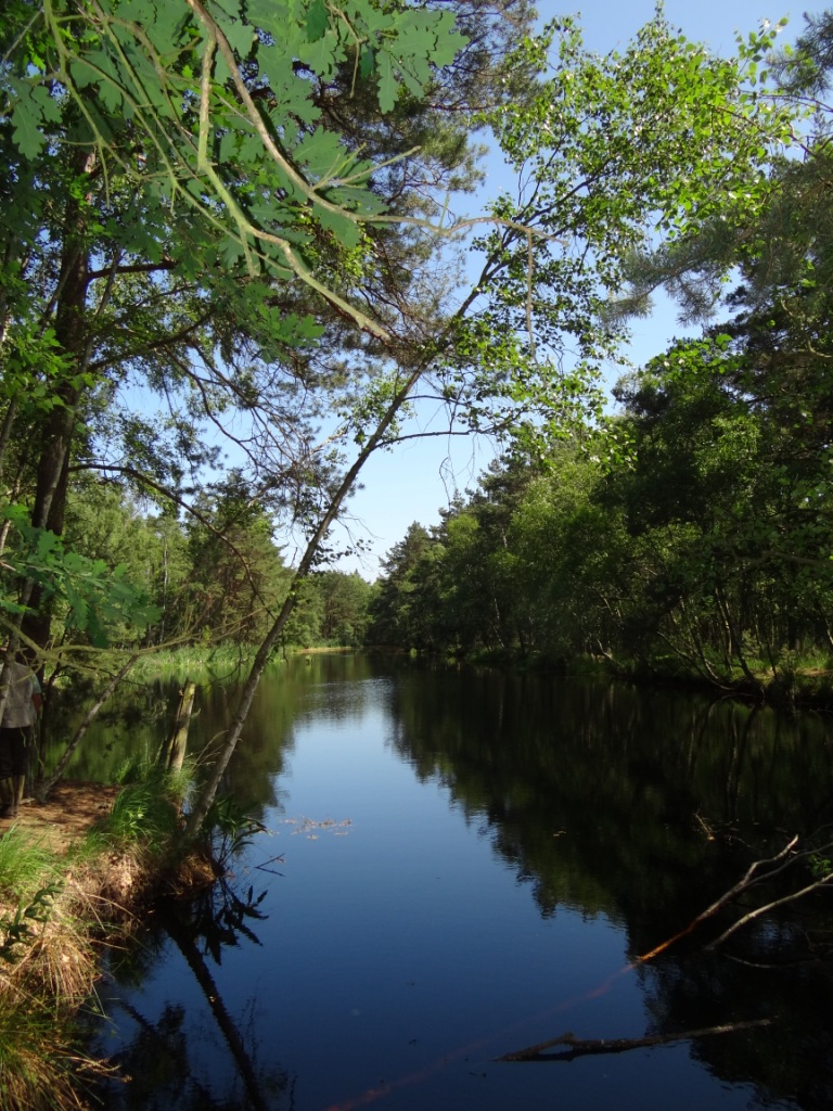 15 jhriges Bestehen des Schulungs- und Informationszentrums Wald und Moor im Naturschutzgebiet Ribnitzer Groes Moor in Ribnitz-Damgarten, Ortsteil Neuheide in Mecklenburg-Vorpommern mit Festakt, einer Kremserfahrt und Jubilumswanderung. Foto: Eckart Kreitlow