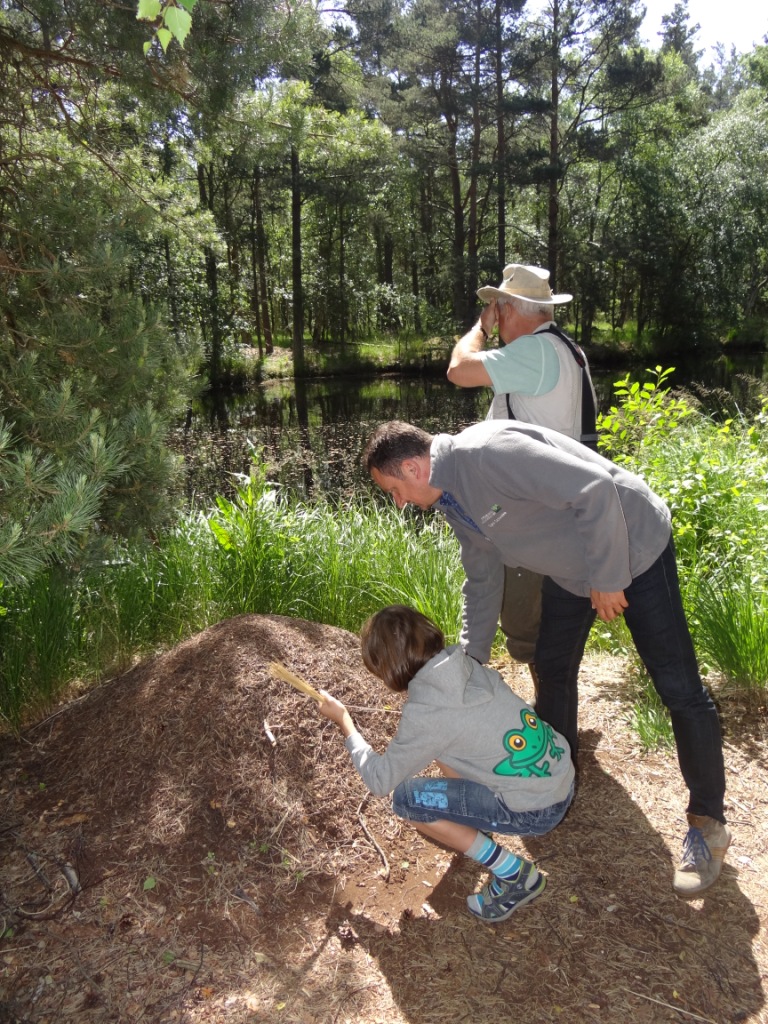 15 jhriges Bestehen des Schulungs- und Informationszentrums Wald und Moor im Naturschutzgebiet Ribnitzer Groes Moor in Ribnitz-Damgarten, Ortsteil Neuheide in Mecklenburg-Vorpommern mit Festakt, einer Kremserfahrt und Jubilumswanderung. Foto: Eckart Kreitlow