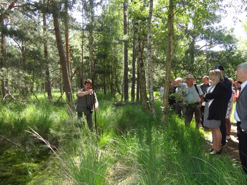 15 jhriges Bestehen des Schulungs- und Informationszentrums Wald und Moor im Naturschutzgebiet Ribnitzer Groes Moor in Ribnitz-Damgarten, Ortsteil Neuheide in Mecklenburg-Vorpommern mit Festakt, einer Kremserfahrt und Jubilumswanderung. Foto: Eckart Kreitlow