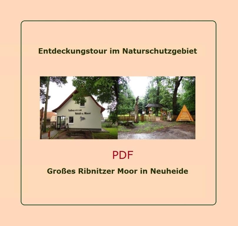 Entdeckungstour im Naturschutzgebiet Groes Ribnitzer Moor in Neuheide - PDF