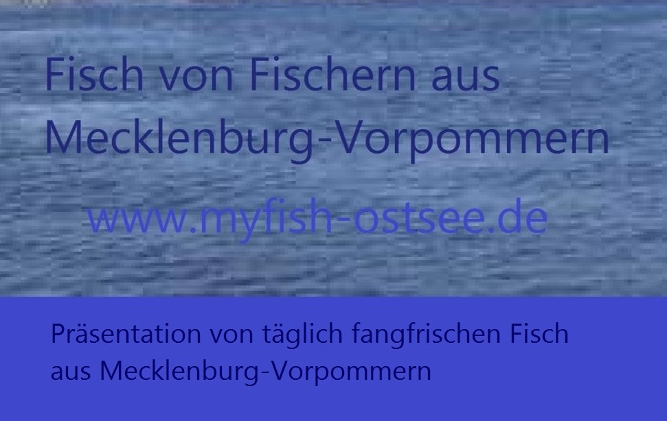 Fisch von Fischern in Mecklenburg-Vorpommern - 