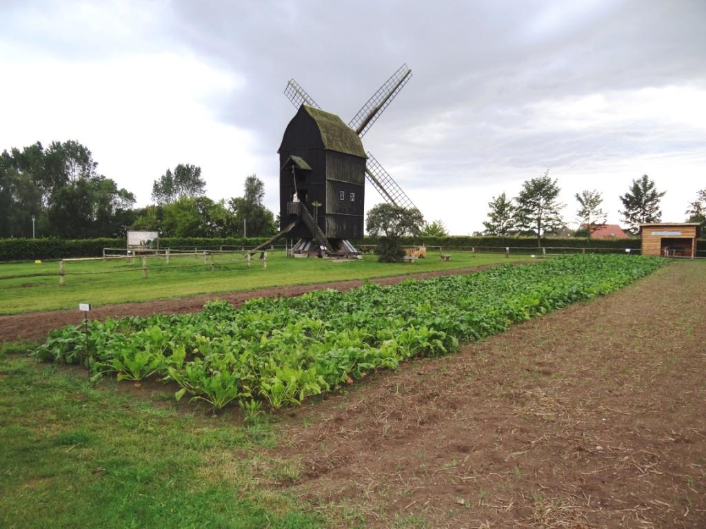 Fotografische Eindrcke vom Freilichtmuseum Klockenhagen im Landkreis Vorpommern-Rgen in der Nhe der Bernsteinstadt Ribnitz-Damgarten. Alte Bauernhuser, eine Bockwindmhle, ein Fahrradmuseum, eine Waschkche aus frheren Zeiten, Panoramabilder mit einer drehbaren Bank, ein Backofen, das Tonnenbundhaus und vieles andere mehr. Fotos: Eckart Kreitlow