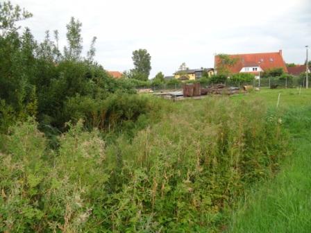 Fotografische Eindrcke vom Freilichtmuseum Klockenhagen im Landkreis Vorpommern-Rgen in der Nhe der Bernsteinstadt Ribnitz-Damgarten. Alte Bauernhuser, eine Bockwindmhle, ein Fahrradmuseum, eine Waschkche aus frheren Zeiten, Panoramabilder mit einer drehbaren Bank, ein Backofen, das Tonnenbundhaus und vieles andere mehr. Fotos: Eckart Kreitlow