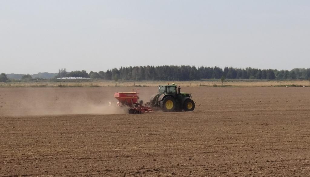 Mitglieder des Landwirtschafts- und Umweltausschusses der Stadtvertretung der Bernsteinstadt Ribnitz-Damgarten hatten am 20. August 2020 die Mglichkeit, an einer Betriebsfhrung des Geschftsfhrers des 100 % biologisch wirtschaftenden Gutes und Mutterkuhbetriebes Klockenhagen Herrn Ralf Schneider (Bildmitte) teilzunehmen. Foto: Eckart Kreitlow