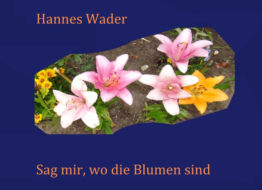 Hannes Wader - Sag mir, wo die Blumen sind