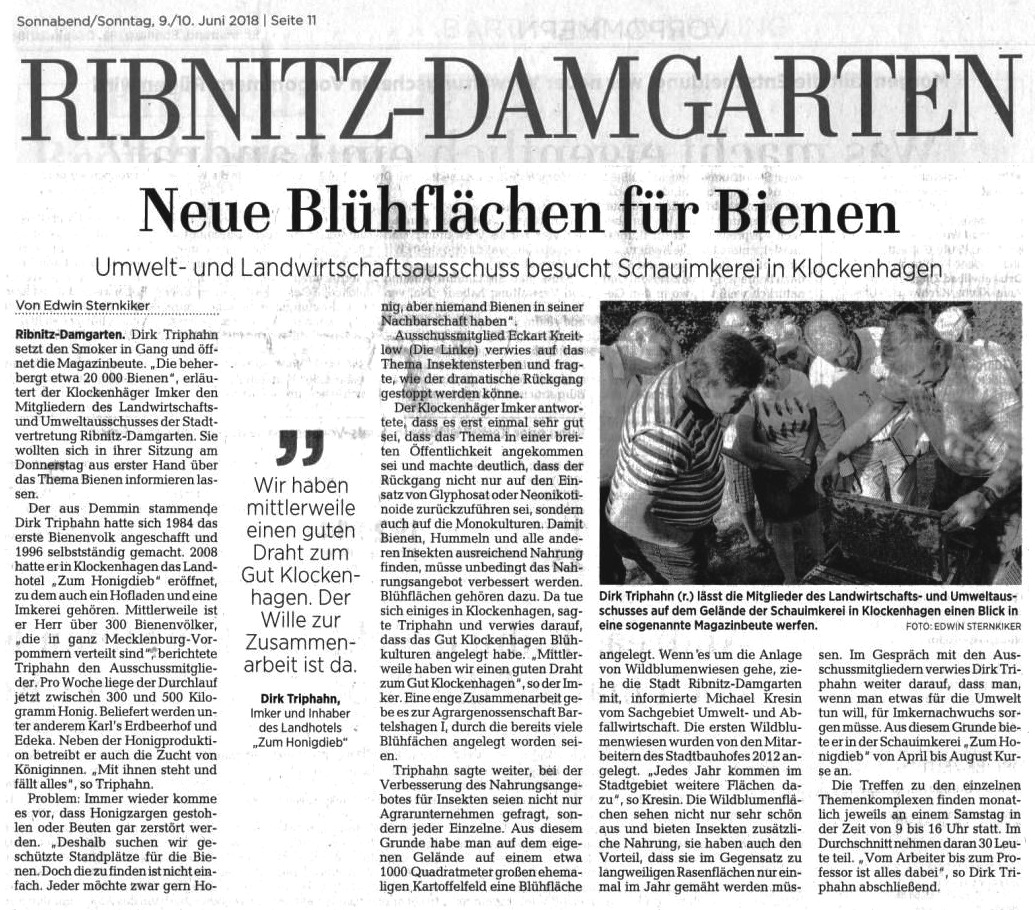 Neue Blhflchen fr Bienen - Umwelt- und Landwirtschaftsausschuss besucht Schauimkerei in Klockenhagen - Beitrag von Dr. Edwin Sternkiker - Ostsee-Zeitung Ribnitz-Damgarten - Ausgabe Sonnabend/Sonntag, 9.10. Juni 2018 | Seite 11 