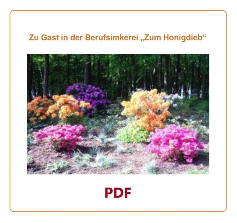 Zu Gast in der Berufsimkerei 'Zum Honigdieb' - PDF