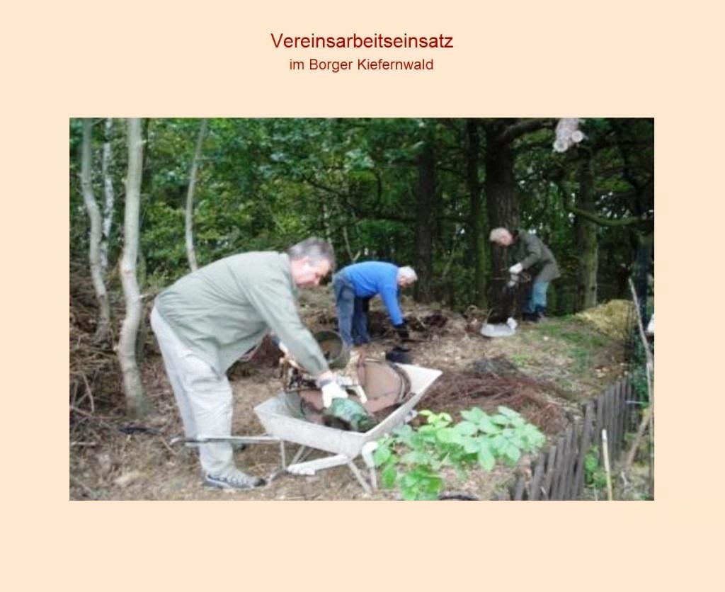 Arbeitseinsatz und Schrottsammelaktion  des gemeinntzigen Vereins 'Grne Welt & M-V Kulinaris' im Borger Kiefernwald im Oktober 2008 