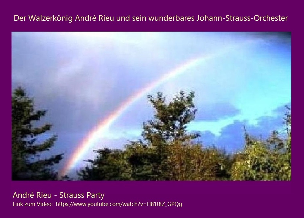 Der Walzerkönig André Rieu und sein wunderbares Johann-Strauss-Orchester - Link zum Video André Rieu - Strauss Party: https://www.youtube.com/watch?v=H81t8Z_GPQg