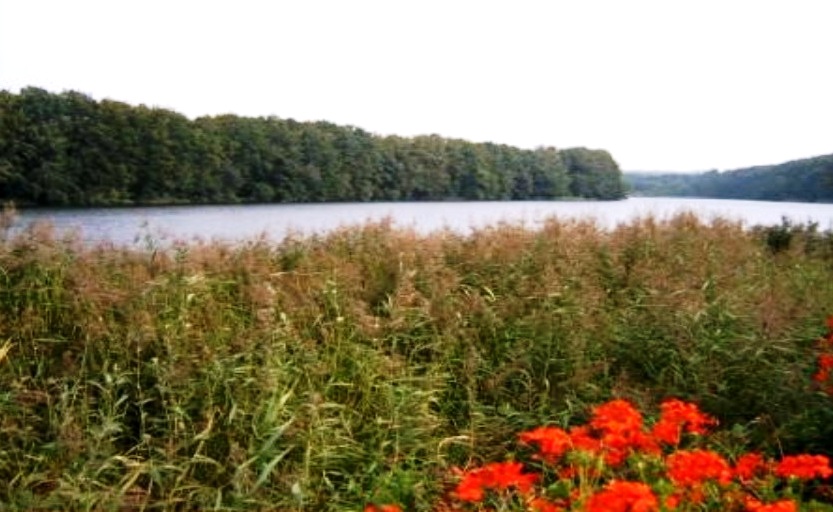Der Ploggensee in Grevesmühlen - Teil einer wunderschönen Naturlandschaft in Deutschlands nordöstlichem Bundesland Mecklenburg-Vorpommern. Foto: Eckart Kreitlow