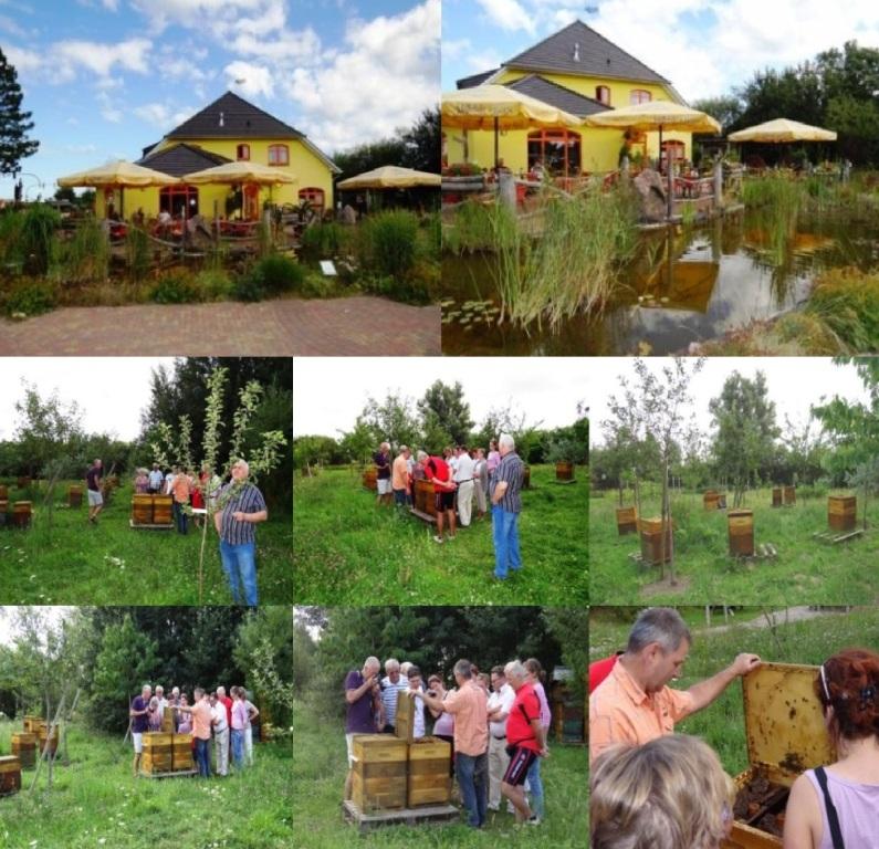 Landwirtschafts- und Umweltausschuss der Stadtvertretung Ribnitz-Damgarten am 7. Juni 2018 zu Gast in der Berufsimkerei und dem Landhotel mit Hofladen 'Zum Honigdieb' in Ribnitz-Damgarten, Ortsteil Klockenhagen. Diese Fotos enstanden bereits am 12.August 2012 whrend einer gemeinsamen Veranstaltung mit dem gemeinntzigen Heimat- und Bildungsverein Ribnitz-Damgarten e. V., der damals noch Verein 'Grne Welt & M-V Kulinaris' hie. Fotos: Eckart Kreitlow 