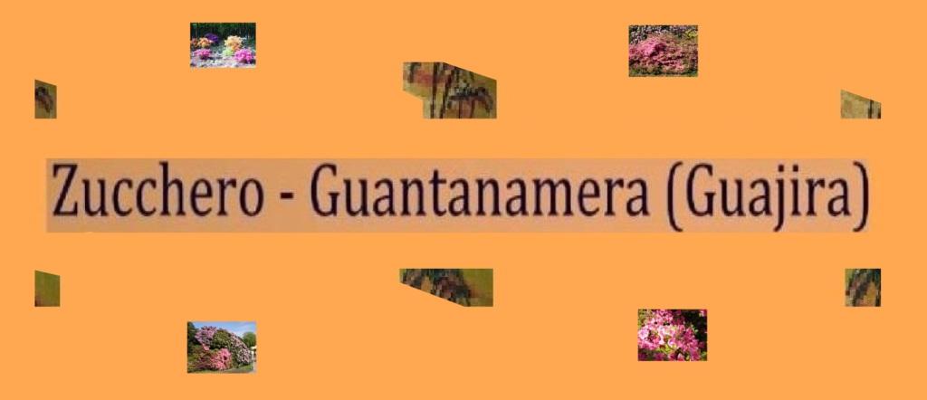 Zucchero - Guantanamera (Guajira) 